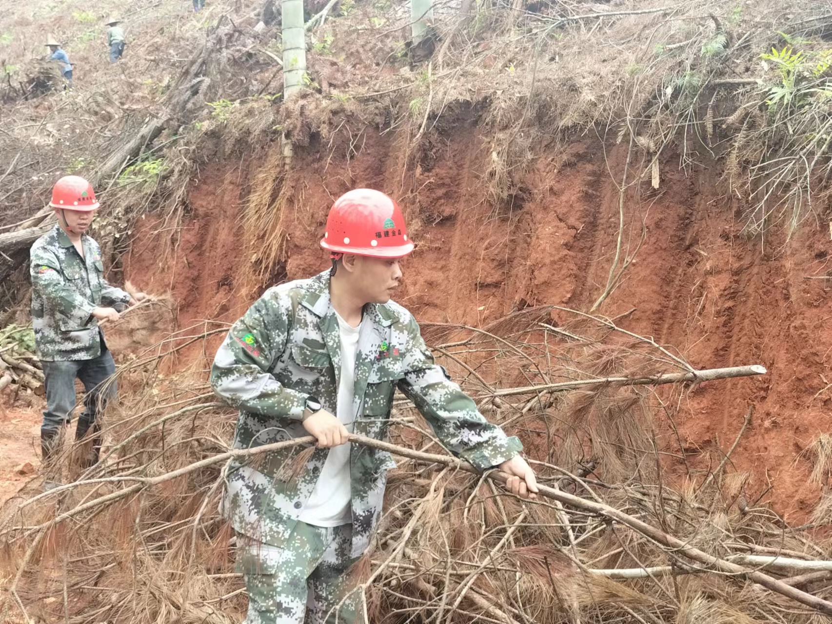  “百日鏖战” 齐心协力谱写产销新篇 ----福建金森木材产销百日攻坚行动